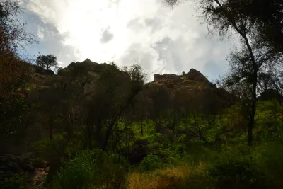 DSC_6346 (Large).JPG